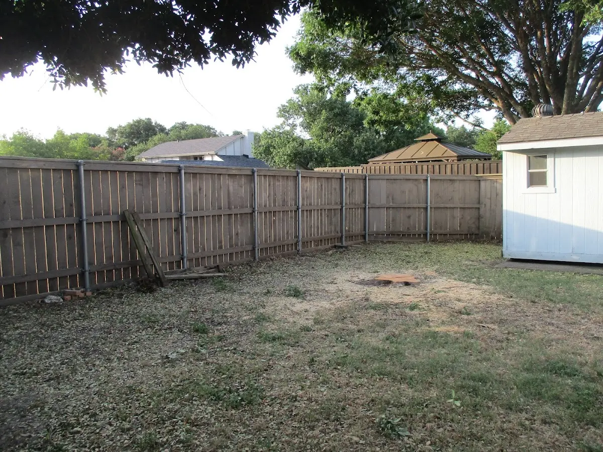 Cleared yard after professional tree removal in Castle Hayne
